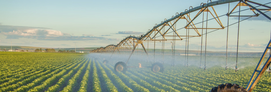 pivot d'irrigation